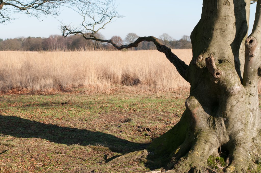 kampina2013_034.jpg