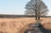 kampina2013_035_small.jpg