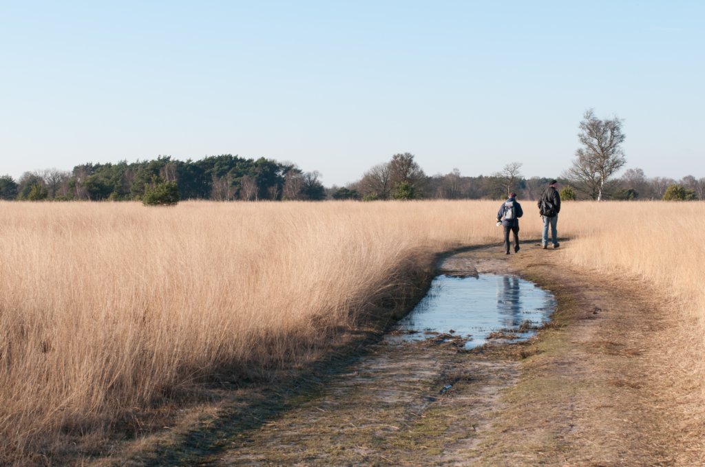 kampina2013_037.jpg