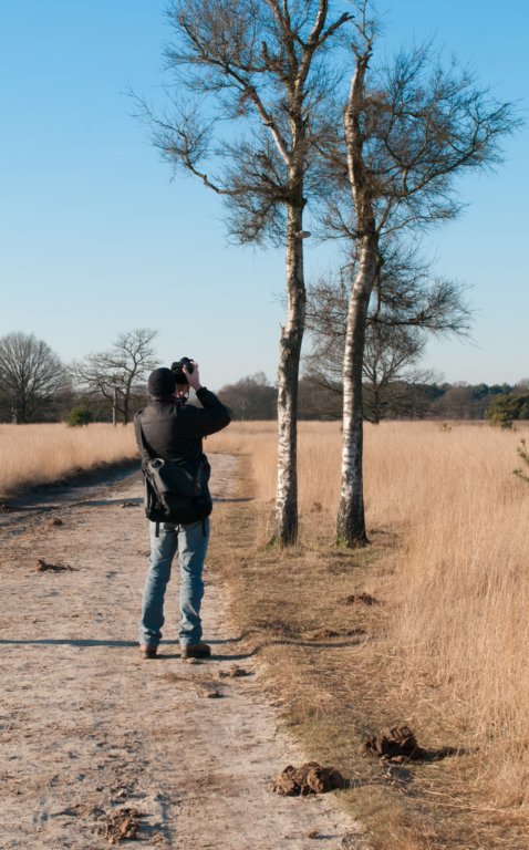 kampina2013_038.jpg