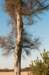 kampina2013_040_small.jpg