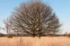 kampina2013_044_small.jpg