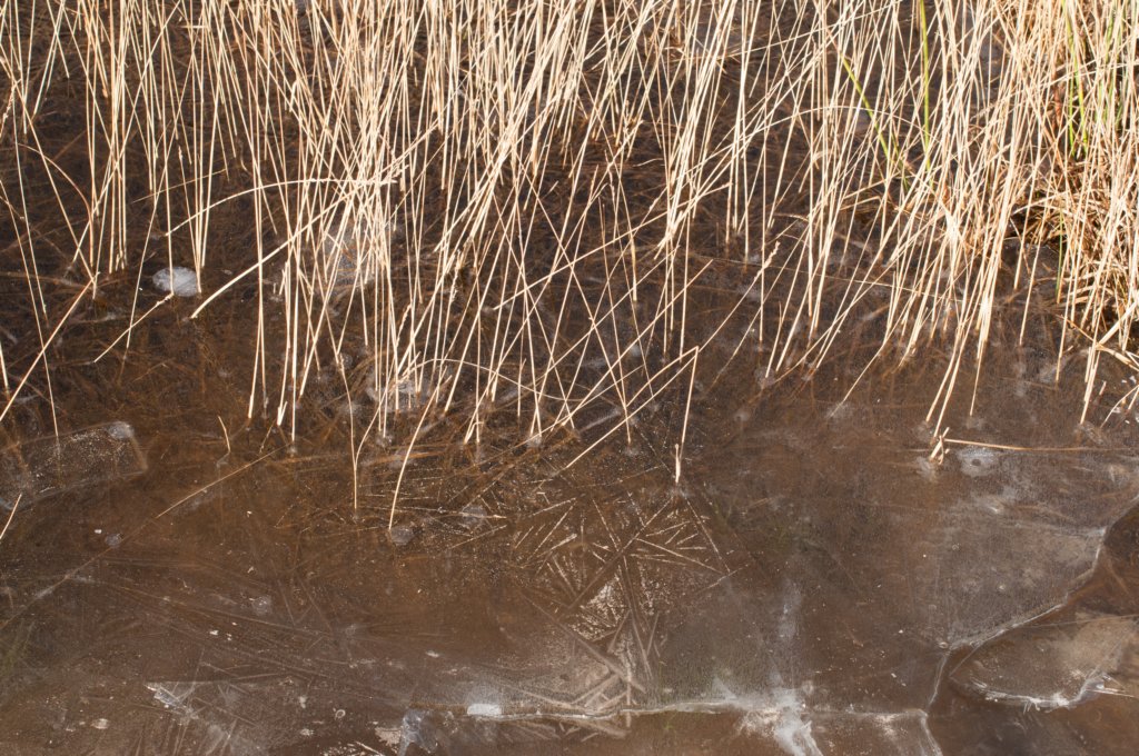 kampina2013_045.jpg