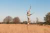 kampina2013_046_small.jpg