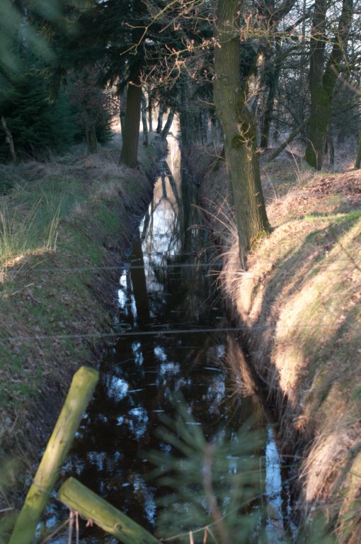 kampina2013_048.jpg