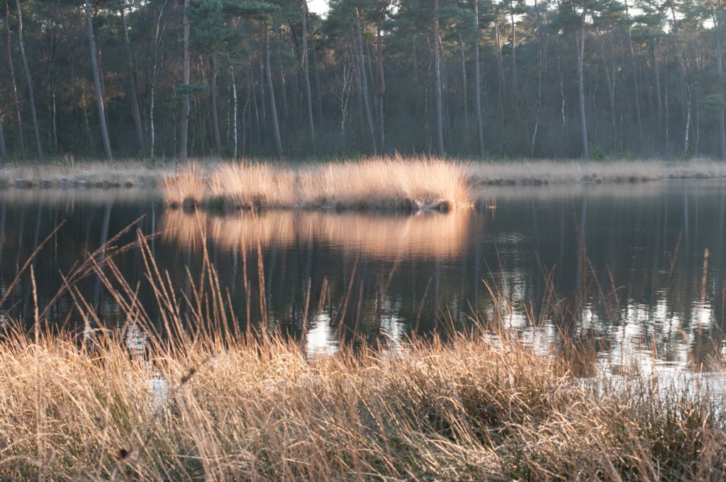 kampina2013_050.jpg