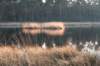 kampina2013_050_small.jpg