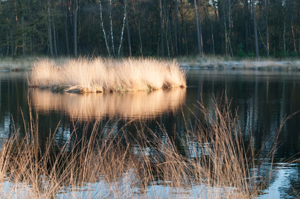 kampina2013_052.jpg