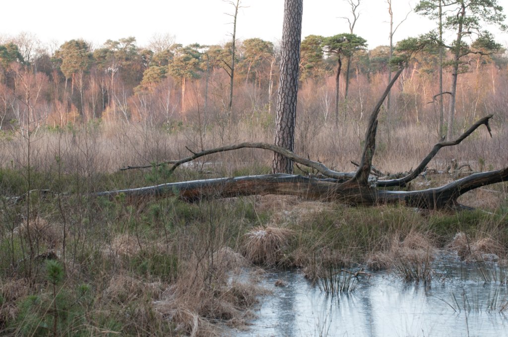 kampina2013_053.jpg
