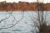 kampina2013_054_small.jpg