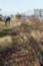 k_duinen_012_small.jpg