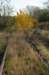 k_duinen_013_small.jpg