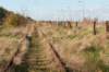 k_duinen_017_small.jpg