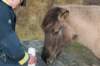 k_duinen_022_small.jpg