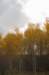 k_duinen_025_small.jpg