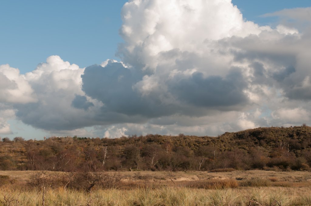 k_duinen_026.jpg