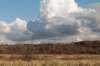 k_duinen_026_small.jpg