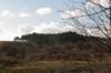 k_duinen_027_small.jpg