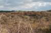 k_duinen_028_small.jpg