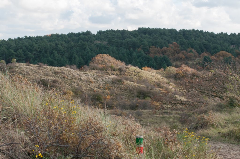 k_duinen_029.jpg