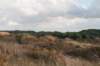 k_duinen_030_small.jpg