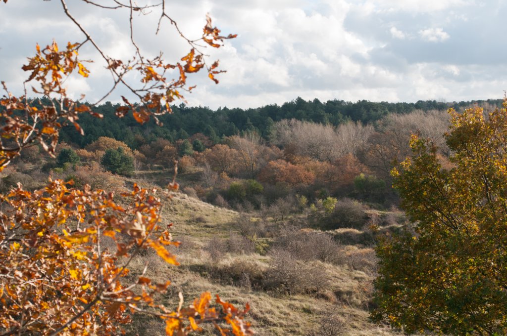 k_duinen_032.jpg