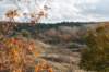 k_duinen_032_small.jpg