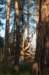 k_duinen_033_small.jpg