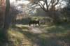 k_duinen_035_small.jpg