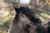 k_duinen_037_small.jpg