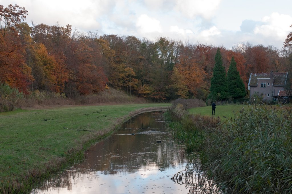 k_duinen_043.jpg