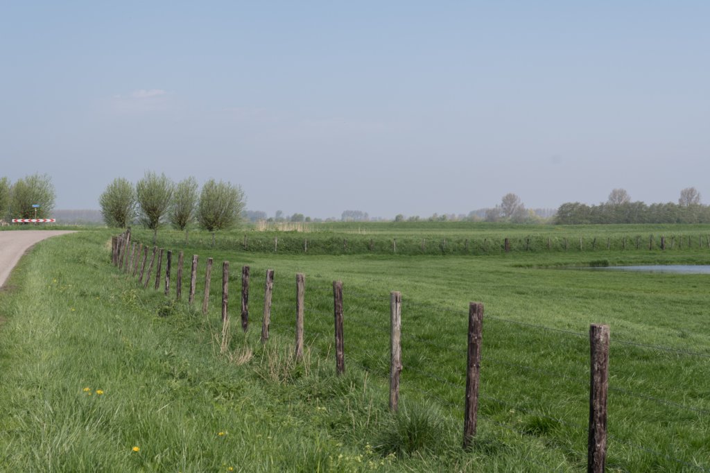 kustpadzeewsvl_009.jpg