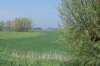 kustpadzeewsvl_011_small.jpg