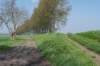 kustpadzeewsvl_012_small.jpg