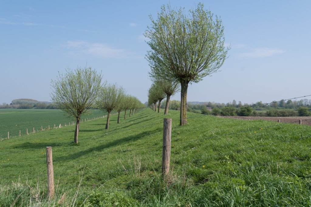 kustpadzeewsvl_014.jpg