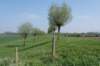 kustpadzeewsvl_014_small.jpg