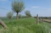 kustpadzeewsvl_015_small.jpg
