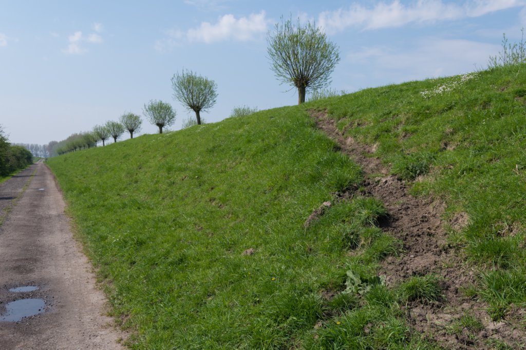 kustpadzeewsvl_019.jpg