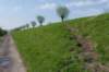 kustpadzeewsvl_019_small.jpg