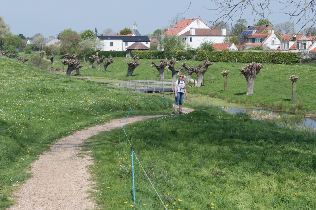 kustpadzeewsvl_032.jpg
