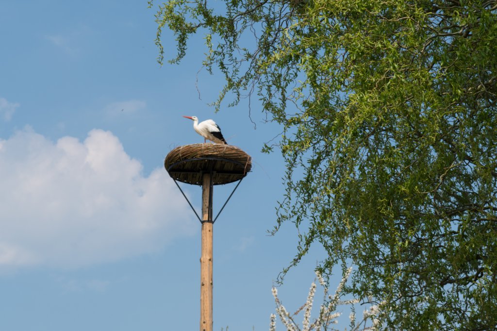 kustpadzeewsvl_036.jpg