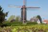 kustpadzeewsvl_039_small.jpg