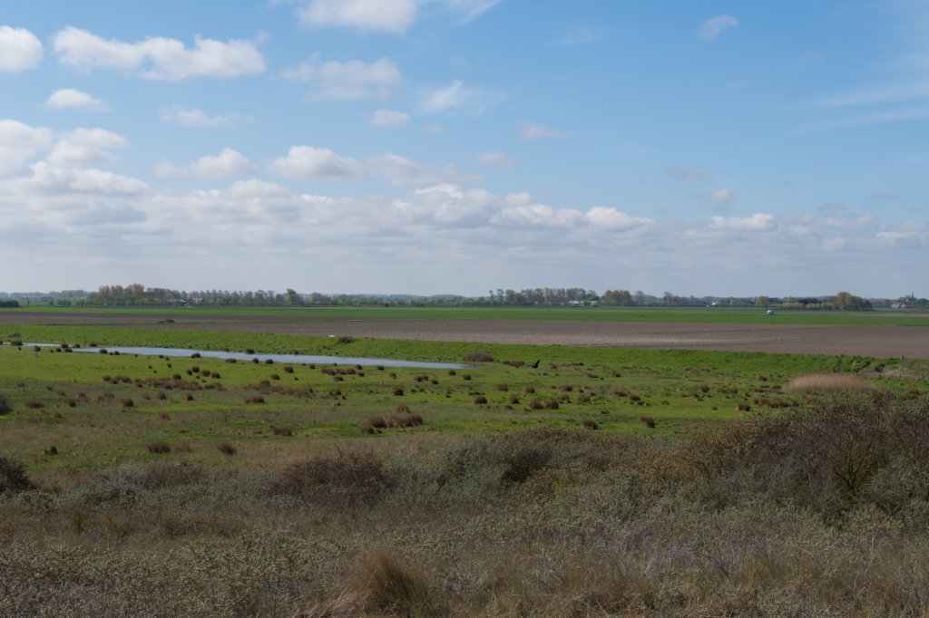 kustpadzeewsvl_055.jpg