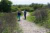 kustpadzeewsvl_060_small.jpg