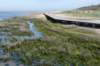 kustpadzeewsvl_066_small.jpg