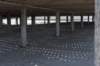 kustpadzeewsvl_076_small.jpg