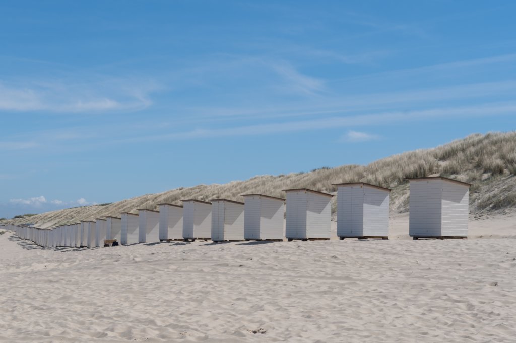 kustpadzeewsvl_077.jpg