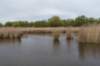 kustpadzeewsvl_082_small.jpg