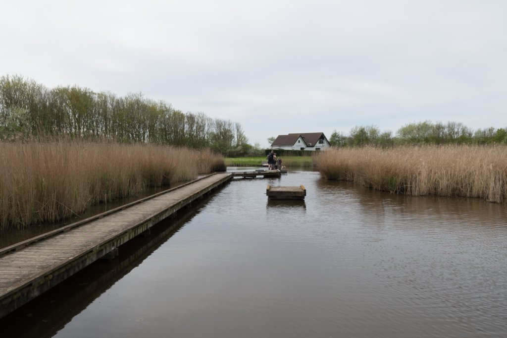 kustpadzeewsvl_083.jpg