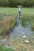 kustpadzeewsvl_084_small.jpg